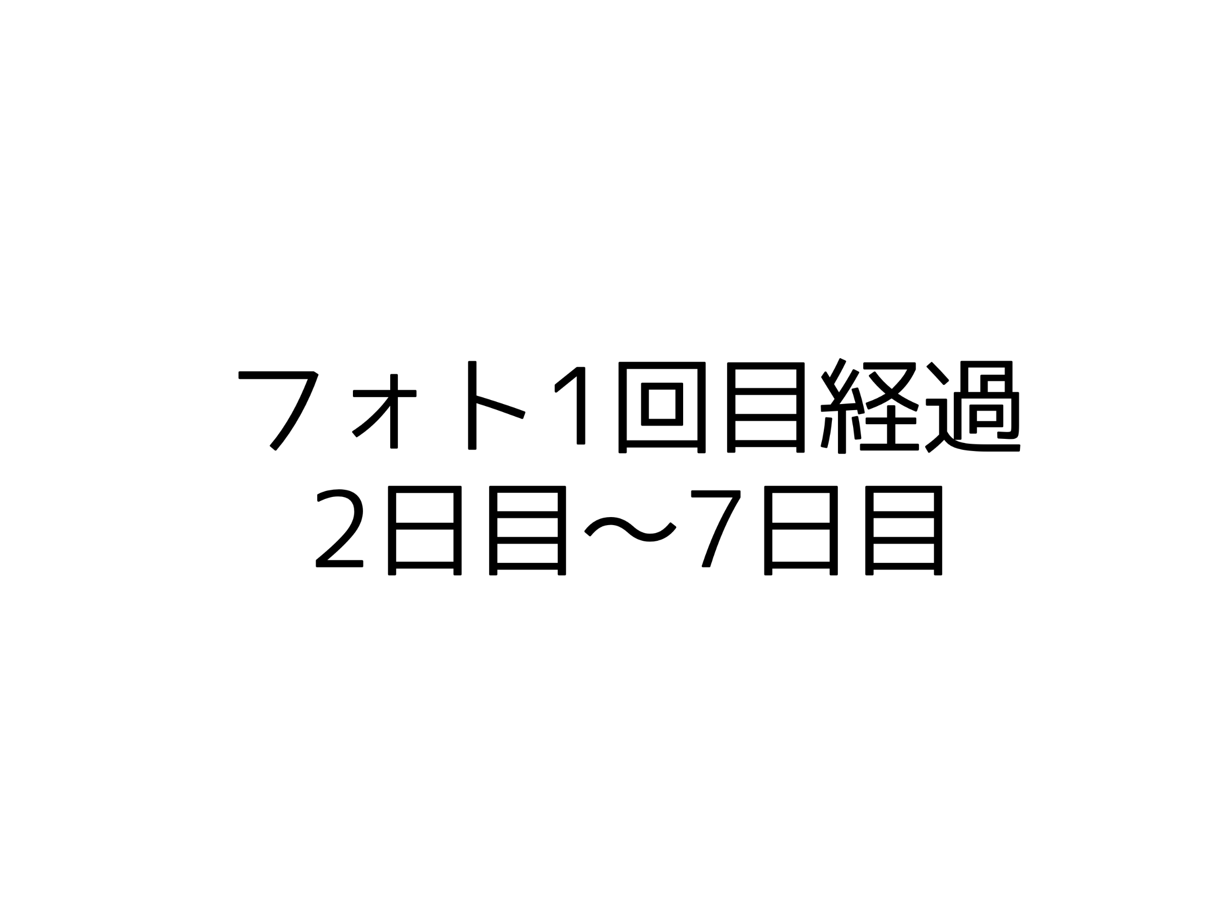 フォト１回目経過２日目〜７日目