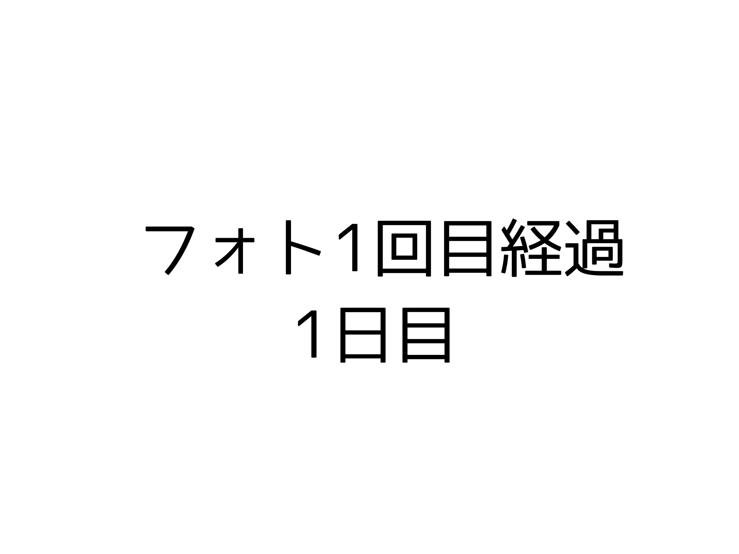 フォト１回目経過１日目